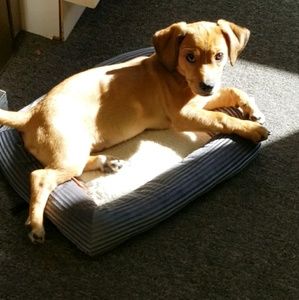 Meet your Posher, Mimi